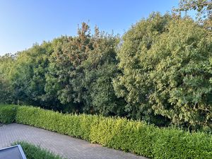 Photo 37- click for photo gallery